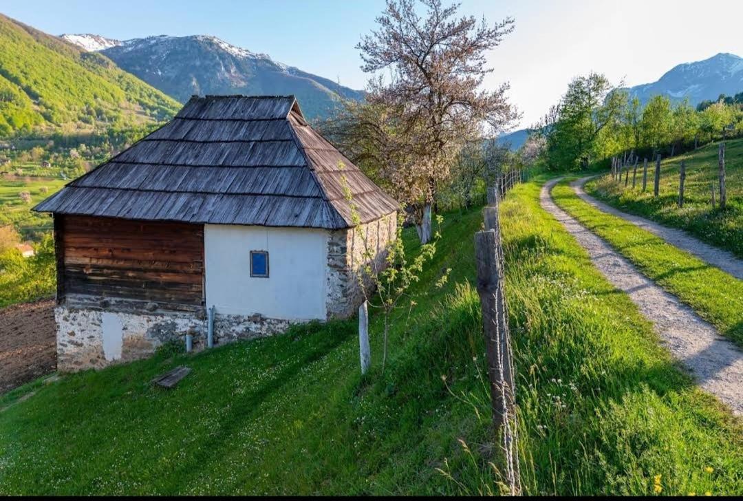 Household Babovic - Old House Miljan'S Valley Andrijevica Exterior photo